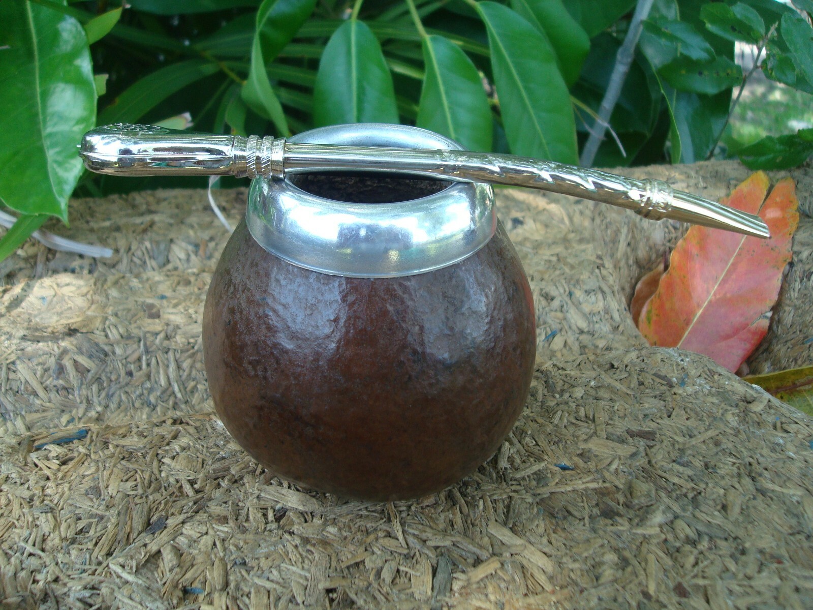 Picture 4 of 7