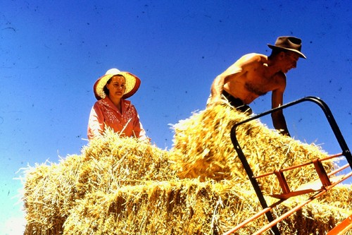 BUNGARBY-"PINELEIGH"-NSW 1956 FAMILY 35MM COLOUR SLIDES X 12 (B)--FREE POSTAGE - Picture 2 of 12