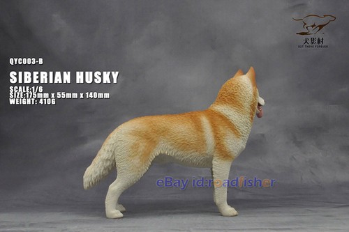 OUT THERE FOREVER 1/6 Modelo Husky Siberiano Animal Perro Coleccionista Decoración Pintado - Imagen 24 de 47