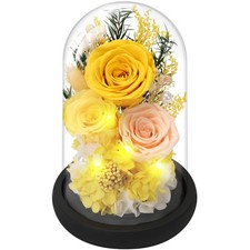 Preserved Roses Flowers for Delivery, Yellow Forever Flores in Glass Dome for Wo