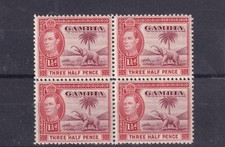 Gambia KGVI 1938 1 1/2d Elephant Block Of 4 SG152 MNH BP17354