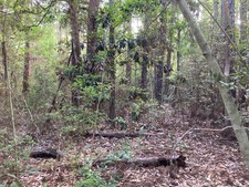 Land Lot - Coastal MS - Harrison County, MS - 1.4 Mile to Beach! .30 mile to bay