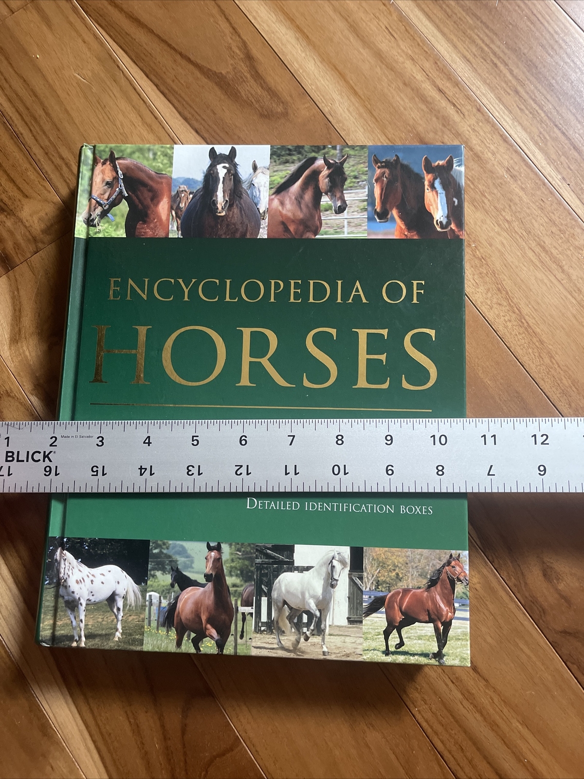Enciclopedia Dei Cavalli - Debby Sly, Copertina Rigida, Condizioni Eccellenti