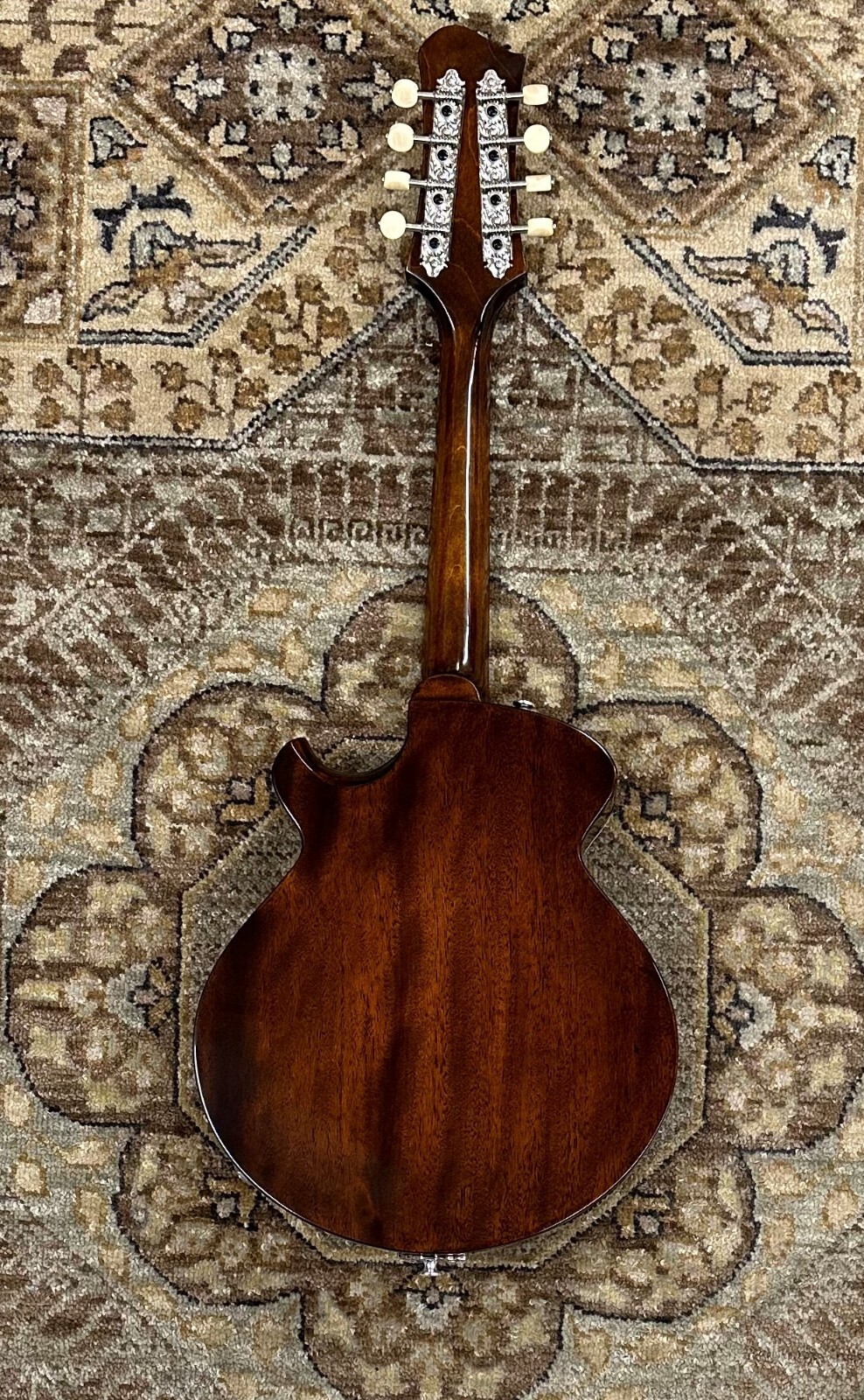 Eastman ERM El Rey AcousticElectric Mandolin w/ Case, Setup 4501 eBay