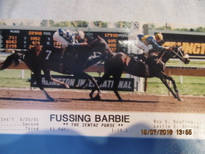 barbie horse racing