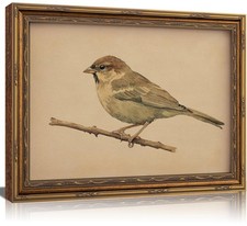 Vintage Gold Framed Bird Wall Art Bird Beige Sparrow Painting Picture Wall De...