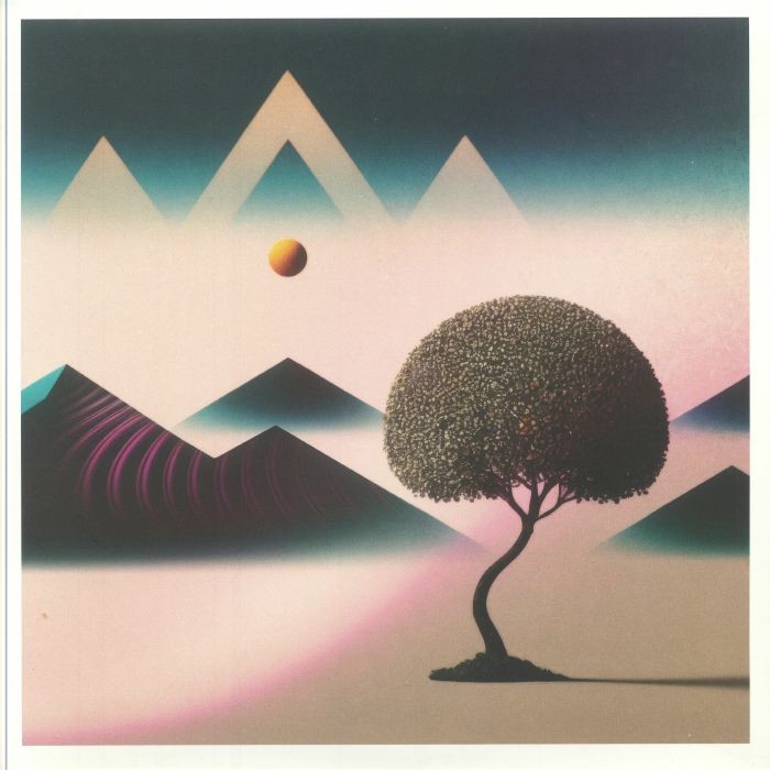 36 - Dreamloops - Vinyl (gatefold 4xLP)