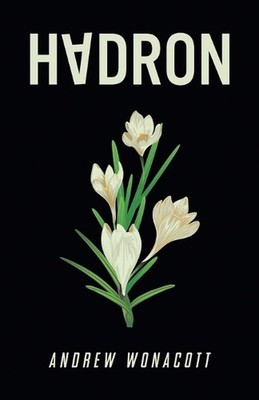 Hadron by Andrew Wonacott Paperback Book