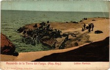 CPA AK ARGENTINA Recuerdo de la Tierra del Fuego Lobos Marinos (1218907)