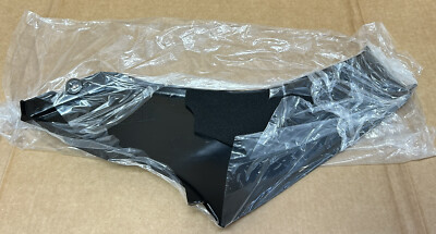 99-07 OEM Honda 400ex RIGHT Side Cover Panel 83550-HN1-A40ZA