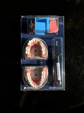 Acadental ModuPro Endo/Fixed Typodont for CDCA/WREB/CITA practice