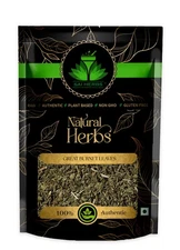 SAI HERBS Great Burnet Leaves - Good for Healthy Lifestyle