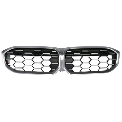 Träger, Stoßfänger BLIC 5502-00-2589981P