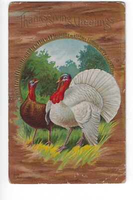 VINTAGE THANKSGIVING POSTCARD WHITE TURKEY GOLD EMBOSSED 1913 POST MARK ...