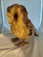 Stunning Large 13" Tall Realistic Owl Decoration Ornament with Rustic Features