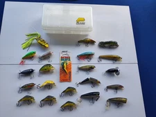 Miscellaneous Lot of 22 Multiple Brand Fishing Crankbait Lures. And Plano Case!