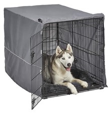 MidWest Homes for Pets Double Door 42-inch Dog Crate Kit, Bundle Includes a T...