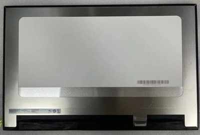 AUO Laptop LCD Panel 2560x1600 165Hz B170QAN01.0