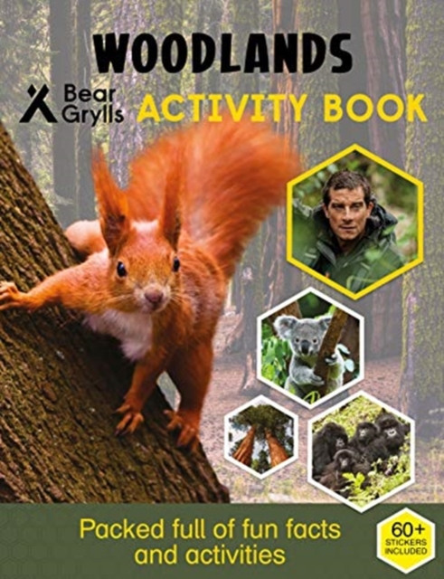 Bear Grylls Sticker Activity: Woodlands by Bear Grylls (Paperback Book)