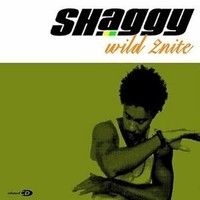 Shaggy - Wilde 2NITE Pop-Rock International CD