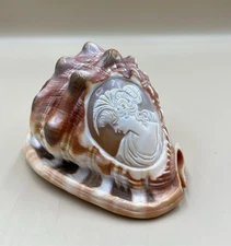 Conch Shell Hand Carved Cameo with Ladies Profile