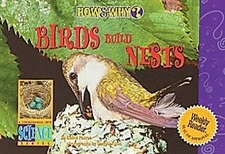 Birds Build Nests (How & Why)
