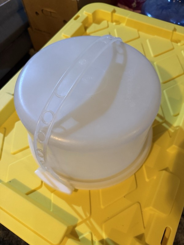 Vintage Tupperware Cake Carrier