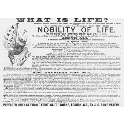 ENOS OBSTSALZE Adel des Lebens - Viktorianische Werbung 1891 (27)