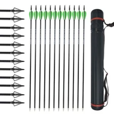 12pcs 30'' Archery Carbon Arrows Hunting Broadheads 100 grain Quiver Bow Target