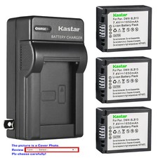 Kastar Battery Travel Charger for Panasonic DMW-BLB13 Lumix DMC-GF1 DMC-GF1GH