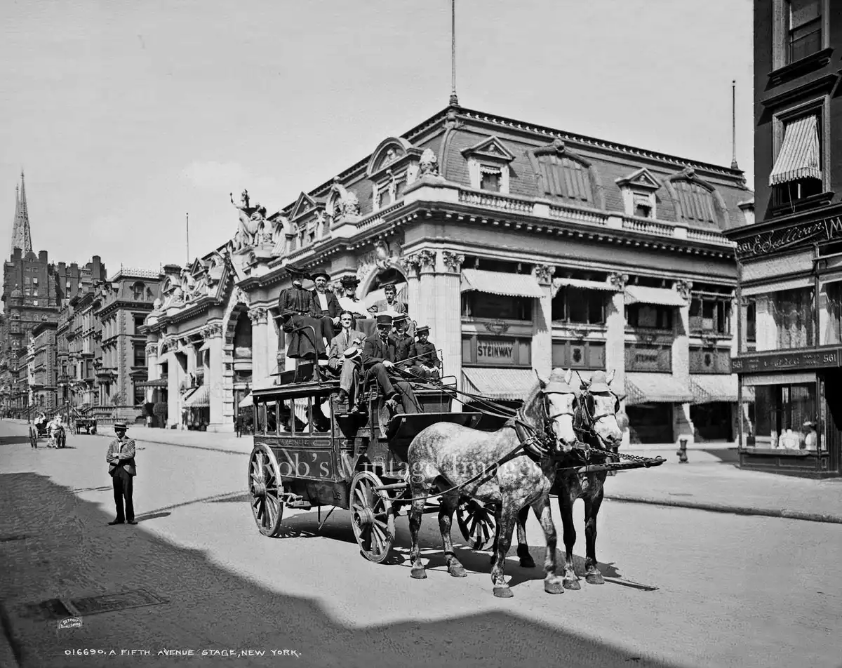 new york 1901