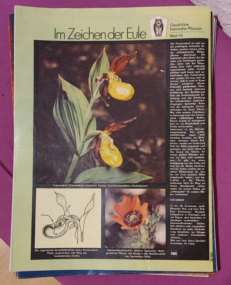 Bild 85 von 105