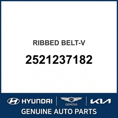 1998-2009 Hyundai Santa Fe Ribbed Belt-V OEM New 2521237182