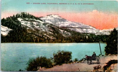 1910s CA Postcard Donner Lake Horse and Buggy SPRR Snowsheds Railroad RR Scenic