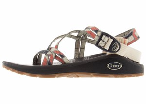 askew angora chacos