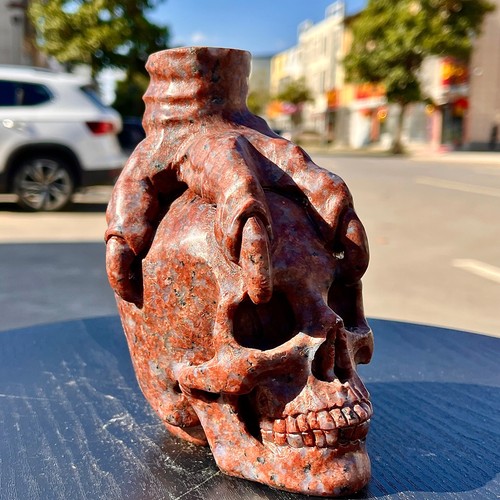 3.39LB Natural Indian Red Skull Hand Carved Skull Healing - Picture 7 of 13