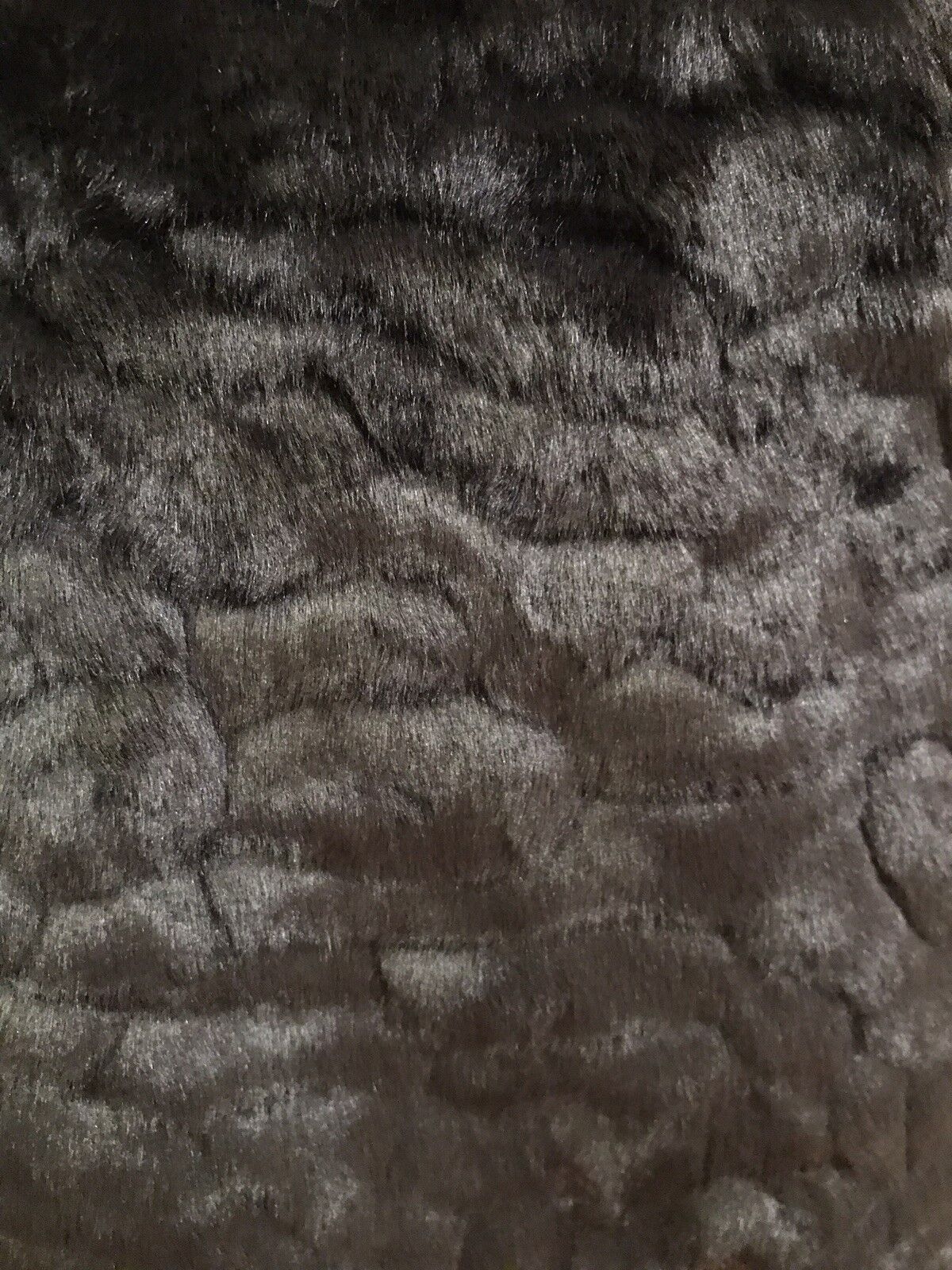 Picture 7 of 11