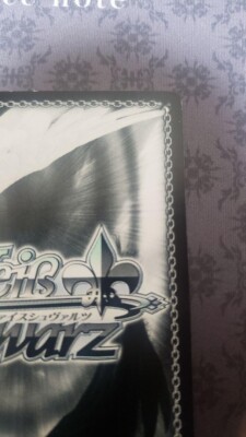 WEISS SCHWARZ サイン入りカードセット Signed Weiss Schwarz Re:Zero Rem Card RZ/S46-060SP SP FOIL Japan