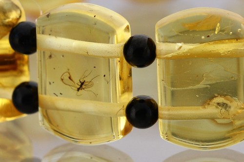 FOSSIL INSECTS Genuine BALTIC AMBER Large Stretch UNISEX Bracelet 10.2g 30301-14 - 第 7/13 張圖片