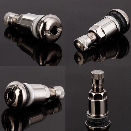 4Pcs`Bolt-in Stainless Car Motorcycle Wheel Tyre Tire Valve Stems with Dust ^lk