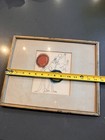 Foto 8 di 9