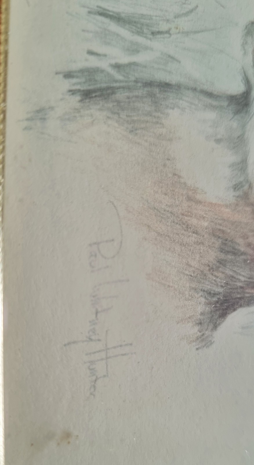 Bild 10 von 18