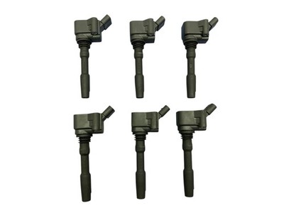 2018-2022 PORSCHE CAYENNE 9YA 3.0L AWD DIRECT IGNITION COIL SET (6) *30K MILES*