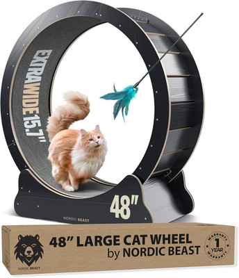 48'' XL Cat Wheel - Cat Wheels for Indoor Cats Which Doesn'T Negatively Affect Y