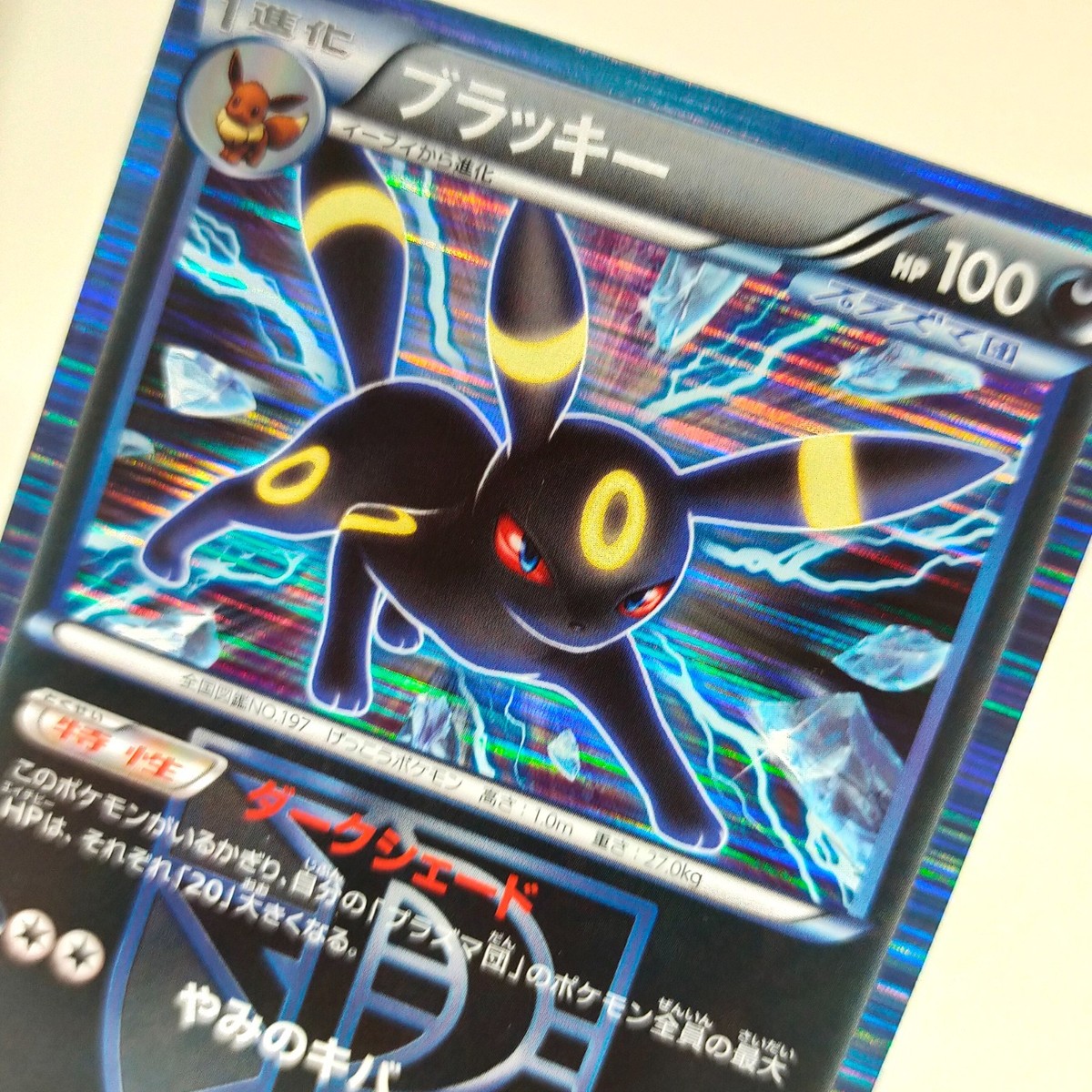 Pokemon card Umbreon 031/051 BW8 1st Thunder Knuckle Japanese 2012