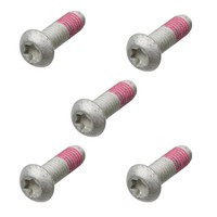 TRW Bremsscheibenschrauben M8X1,25X29 (FüR: BMW R 1150 RT ABS R22 00-03 Vorne )