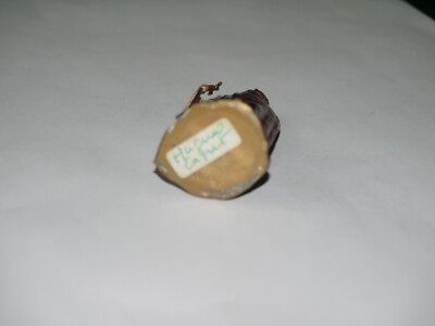Ancienne Figurine VERTUNNI , Hugues CAPET