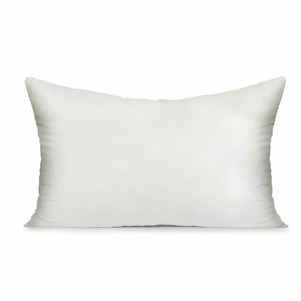 12x20 2024 pillow insert