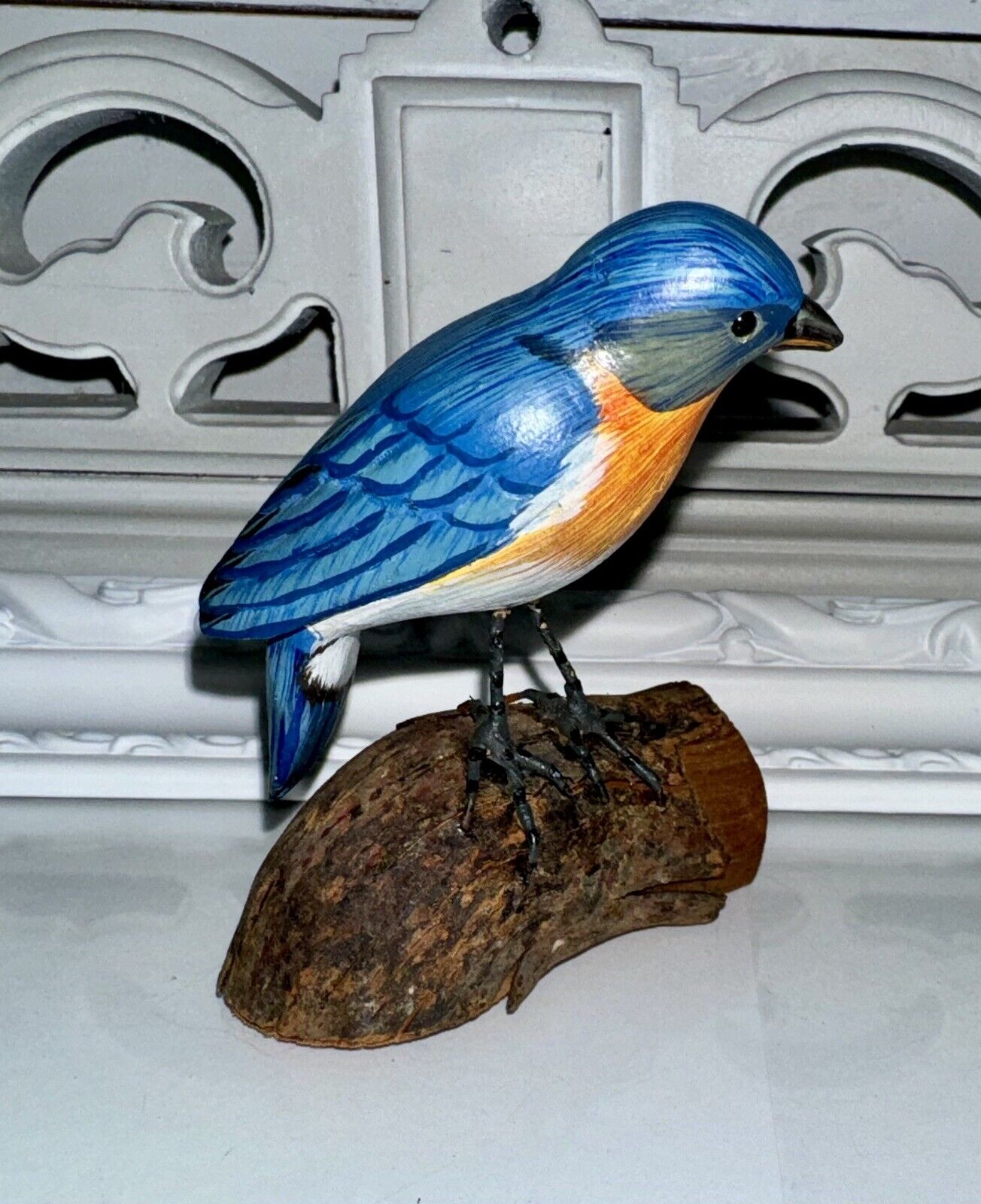 Picture 4 of 5