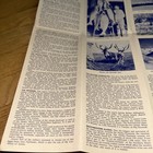 Foto 9 di 9